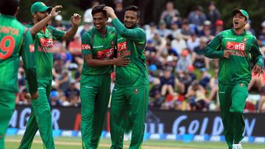 tigers celebration.jpg