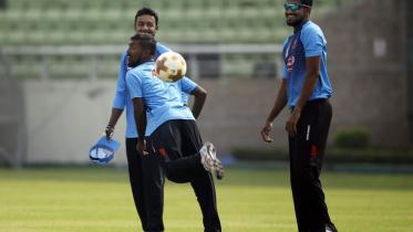 tigers in training.jpg