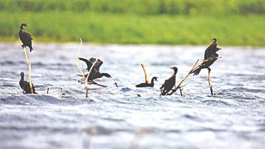 Towards sustainable use of natural resources