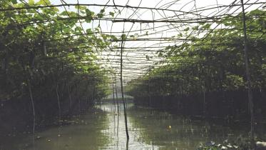 traditional agri tech.jpg