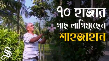 tree lover_Thumbnil.jpg