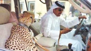 United Arab Emirates.jpg