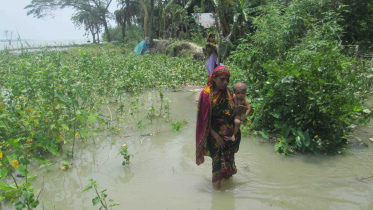 Unrepaired embankments 1.jpg