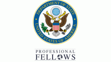 US professional fellowship