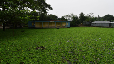 Uttar-Gosaibari-Government-Primary-School.jpg