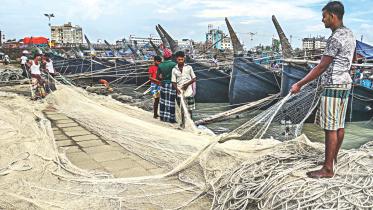 wages in fishery.jpg