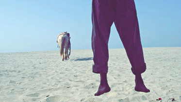 WHAT'S LIFE WITHOUT HORSES