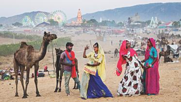  Pushkar Fair Pushkar Mela