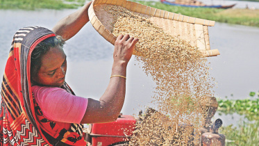 womens contribution economy.jpg