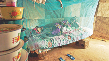 World-Malaria-Day.jpg
