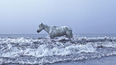 World Photography Day