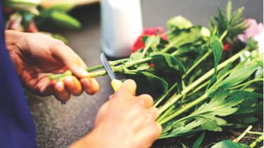 Flowers that beautify the home and soul