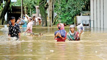 feni-flood.jpg