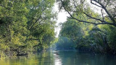 sundarbans_24.jpg