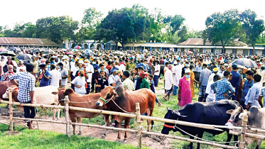 people-gather-in-cattle-market.jpg
