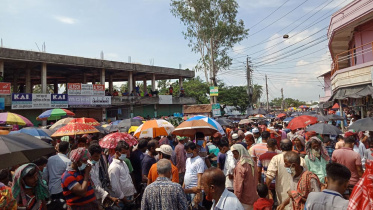 cattle-market3.jpg