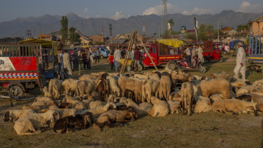 kashmir.jpeg