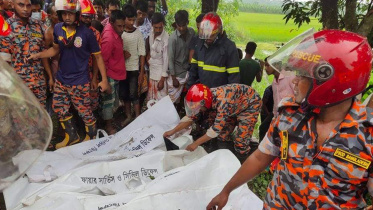 accident-natore.jpg