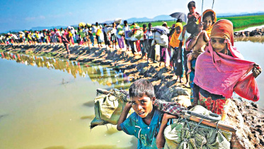 citizenship-rohingya.jpg