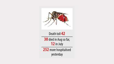 death-toll-dengue.jpg