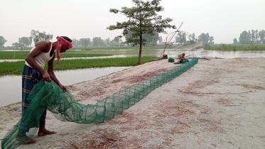 china-dowari-fish-trap.jpg