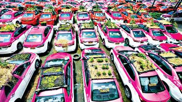 taxis-green.jpg