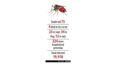dengue-update.jpg