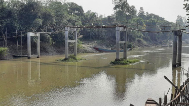 bambo-bridge.jpg