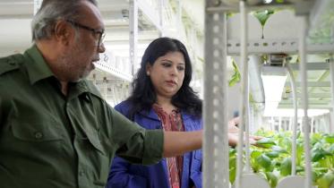 parveen-akhter-indoor-vertical-farm.jpg