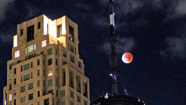 blooc-moon.jpg
