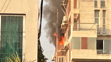 fire.jpg