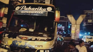 bus-web.jpg
