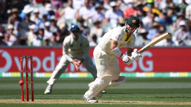warner.jpg