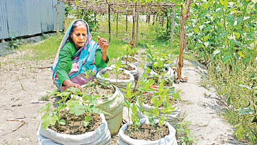 kurigram.jpg