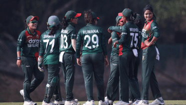 tigresses.gif