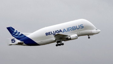 airbus-whale-reuters