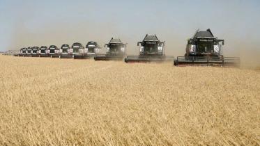 arabs-fear-for-wheat-supplies_0.jpg