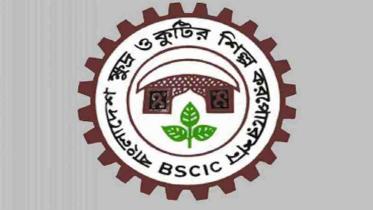 bscic-logo.jpg