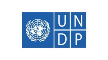 undp.jpg