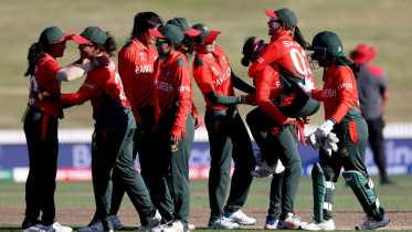 tigresses.jpg