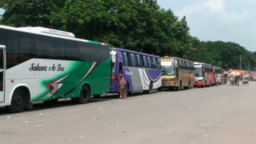 buses.jpg