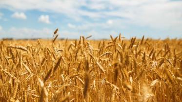 ukraine-exports-first-grain.jpg