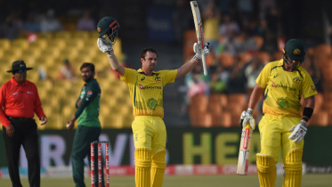 head.jpg