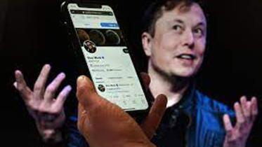 musk-gets.jpg
