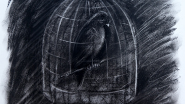 caged_bird_charcoal_on_paper_26_x_27cm_10x10.5in_2020.jpg