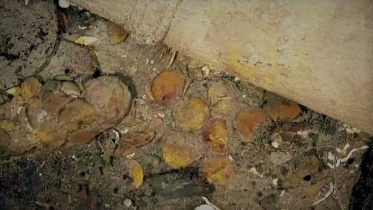 gold_coins_wb.jpg