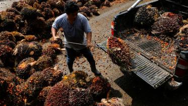 Migrant worker crisis