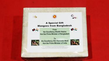 modi_mango.jpg