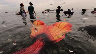 mermaiding.jpeg