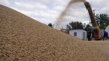 grain.jpg